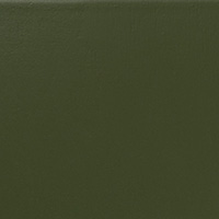 Olive green (RAL 6003)